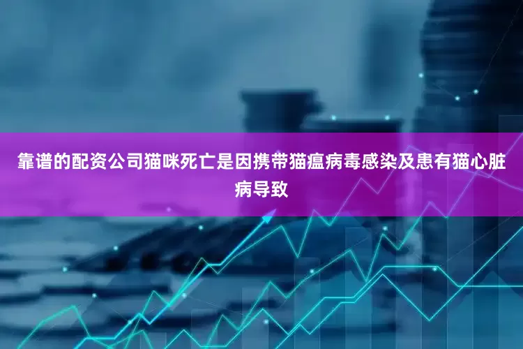 靠谱的配资公司猫咪死亡是因携带猫瘟病毒感染及患有猫心脏病导致