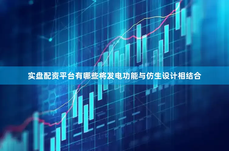 实盘配资平台有哪些将发电功能与仿生设计相结合