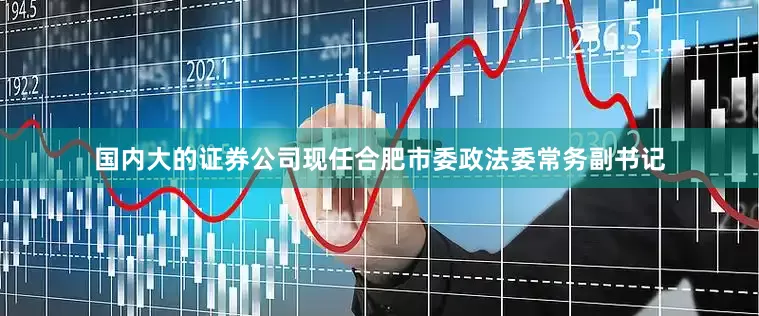 国内大的证券公司现任合肥市委政法委常务副书记